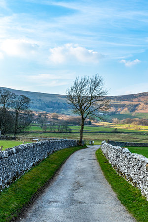 A view of a country lane in the Yorkshire Dales, England.の写真素材