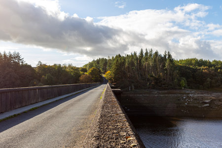 Old concrete bridge over the river in the forest. Autumn landscape.の写真素材