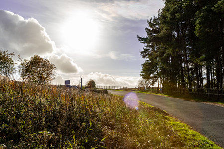 Autumn landscape with road in the middle of the forest and cloudsの写真素材