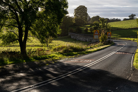A view of a country road in the Scottish Highlands in summer.の写真素材