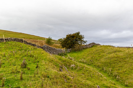 A view of a dry stone wall on a hillside under a cloudy sky.の写真素材