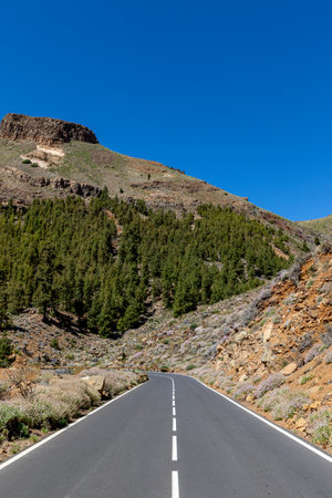 Mountain Road in Gran Canaria, Canary Islands, Spain.の写真素材