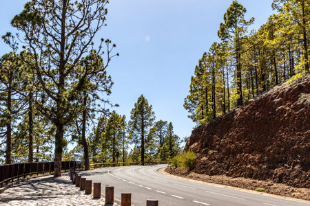 Road on the Caldera de Taburiente, La Palma, Canary Islands, Spainの写真素材