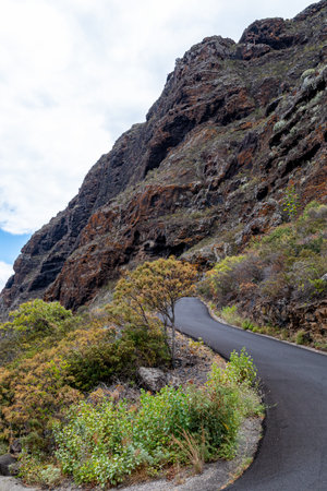 Mountain Road in Gran Canaria, Canary Islands, Spain.の写真素材