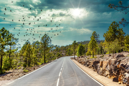 Long Empty Desert Asphalt Road in Canary Islands Gran Canaria Spainの写真素材