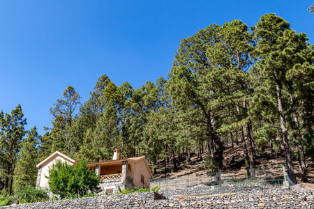 Old House in the Forest on the Island of La Palma, Canary Islands, Spainの写真素材