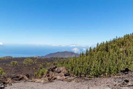 Volcanic landscape on the island of La Palma, Canary Islands, Spainの写真素材