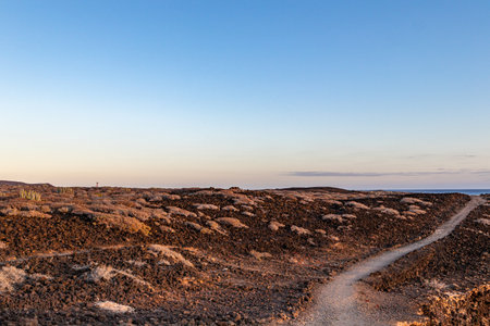 Volcanic landscape in Lanzarote, Canary Islands, Spainの写真素材