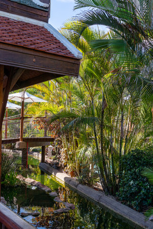 Beautiful tropical garden with a pond and palm trees on a sunny dayの写真素材