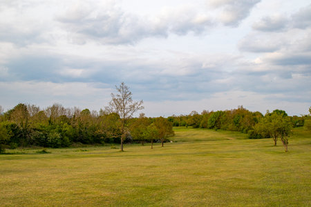 Landscape of a golf course in the countryside with trees and grassの写真素材
