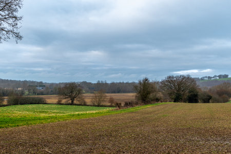 Countryside landscape with fields and meadows under a cloudy sky in winterの写真素材