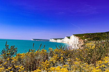 White chalk cliffs on the Jurassic coast in Dorset, England, UKの写真素材