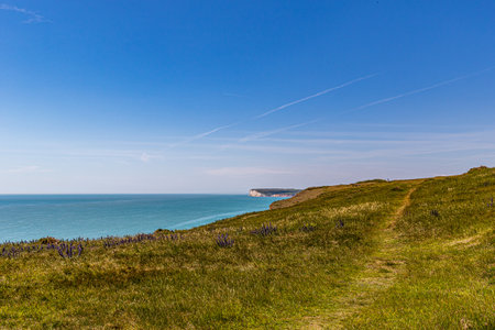 Coastline at Durdle Door in Dorset England UK Europeの写真素材
