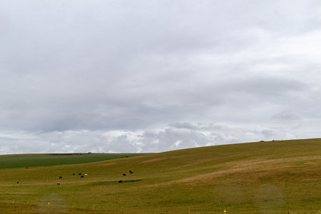 Landscape with green grass and cloudy sky in the countryside of New Zealandの写真素材