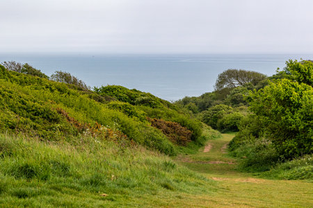 Hiking trail along the coast of the North Sea in Brittany, Franceの写真素材