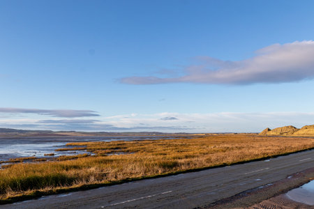 Icelandic landscape with yellow grass on the shore of a frozen lakeの写真素材