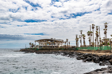 Palm trees on the shore of the Atlantic Ocean in Tenerife