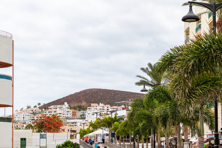 View of the town of Tenerife, Canary Islands, Spainの写真素材