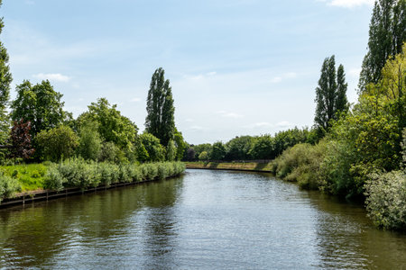 Scenic view of the river and green trees in the park.の写真素材