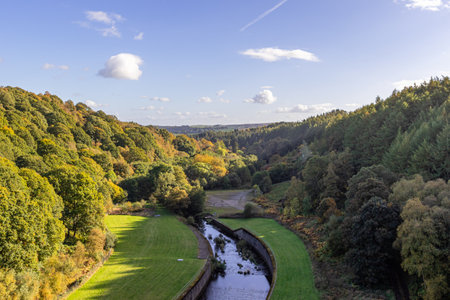 Aerial view of the river flowing through the forest in autumn.