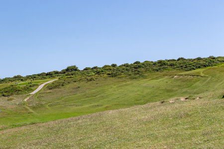 Mountain landscape with green grass and blue sky in the background.の写真素材