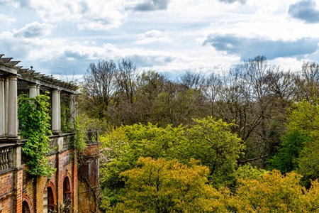 Old brick wall of an abandoned building with green foliage and a cloudy sky