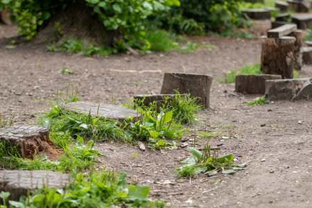 Wooden steps in the park. The path is made of wooden blocks.の写真素材