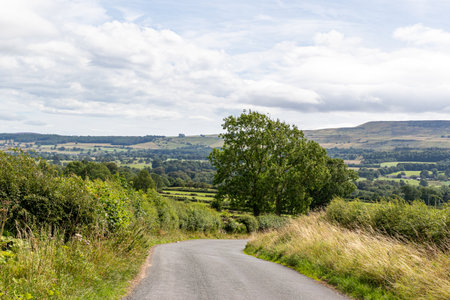 Country road in the Yorkshire Dales National Park, England, UKの写真素材