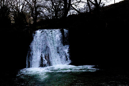 A view of a small waterfall in the middle of the forest.の写真素材