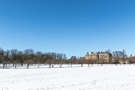Winter landscape with snow covered trees in the park and a blue sky