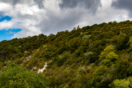 Mountain landscape with green trees and cloudy sky. Nature background.