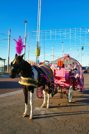 Horse-drawn carriages at the fairground in Amsterdam, Hollandの写真素材