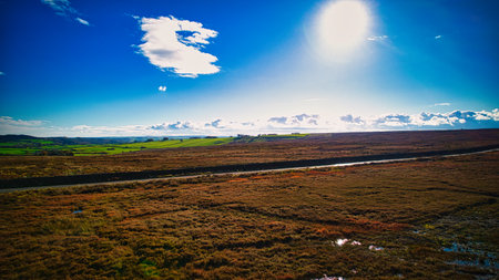 Aerial view of a beautiful landscape with fields and meadows.の写真素材