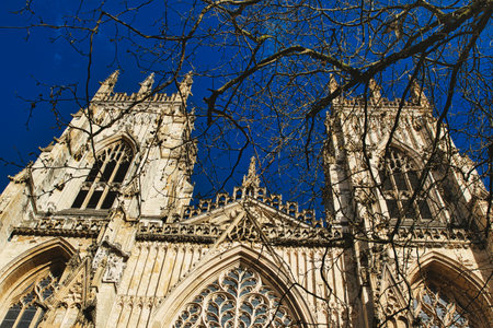 Gothic cathedral facade with intricate architecture and blue sky background, framed by bare tree...