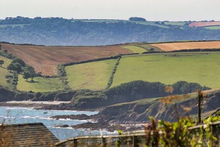 A scenic view of rolling green hills and fields by the coast, with a clear blue sea and rocky shoreline. The landscape features a mix of farmland and natural vegetation, under a bright sky.の写真素材