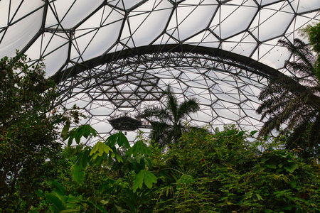 A view of a large greenhouse structure with a geometric metal frame and transparent roof, surrounded by lush green plants and palm trees.の写真素材