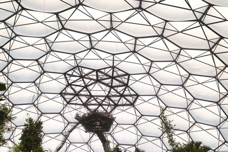 A close-up view of a geodesic dome structure, showcasing the intricate triangular framework and transparent panels. The dome is surrounded by lush greenery, creating a contrast between nature and architecture.の写真素材