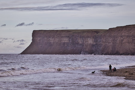 A coastal scene featuring a large, dark cliff face under a cloudy sky. Three figures and a dog are visible on a beach in the foreground, with waves breaking on the shore.  The overall color palette is muted grays and browns.の写真素材