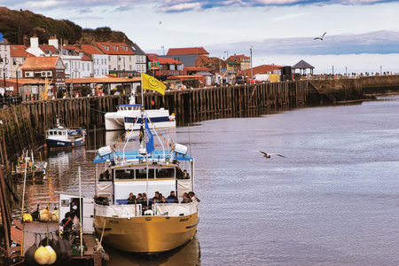 Coastal scene with boats docked along a pier, town buildings with red roofs in the background, and gulls in the sky in Whitby, UK.の写真素材