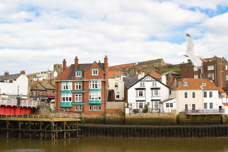View of buildings along a river, including a bridge and a blurred seagull in flight against a partly cloudy sky in Whitby, UK.の写真素材