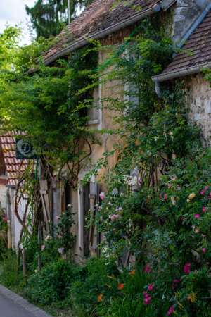The image shows a stone building facade overgrown with vegetation. Roses and other plants are prominent. The scene is brightly lit and colorful in Giverny, France.の写真素材