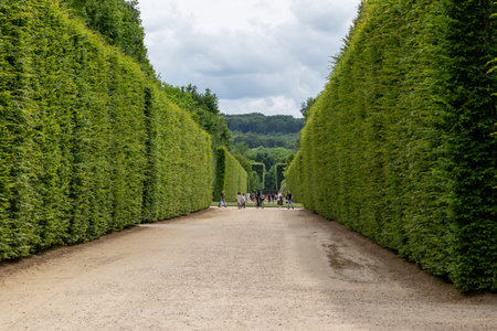 A gravel path stretches between tall, green hedges in a formal garden, leading to people and more greenery under a cloudy sky at Versailles Gardens, Paris.の写真素材