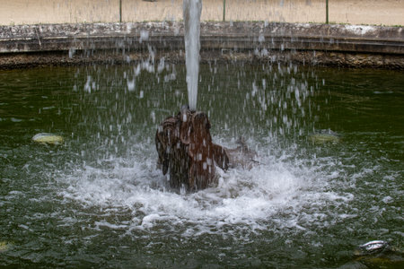 Fountain with a dark statue centerpiece surrounded by water jets and droplets. Green-tinted water in the basin at Versailles Gardens, Paris.の写真素材
