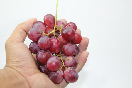 Photo of a hand-held creative wine concept with a white background. Selective focus.の写真素材