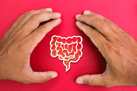 hand making a bracket with a gut icon in the middle. gut care concept. intestine shape, healthy...