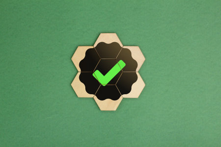 Hexagons with correct sign icon. Right sign concept. certified and correct mark. Standard certification, accurate selection, production standards and good quality. An ethical corpoの写真素材