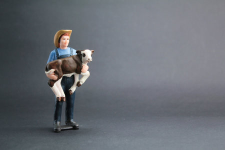 a small labor cattle farmer carrying a calf. cattle breeder concept. agricultural concept. cattle farmの写真素材