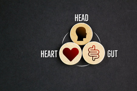 round stick with icons and the words head, heart and gut. How to make conscious decisions. Decision making made easy.の写真素材