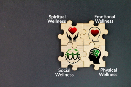 What are the 4 areas of health?Spiritual Wellness, Emotional Wellness, Physical Wellness, Social Wellness. The four domains in which we can embody the Healthy Selfの写真素材