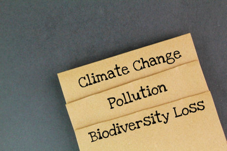 paper with the words climate change, pollution, and biodiversity loss. environmental issues in three...